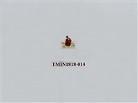 藏品(水稻害蟲)的圖片